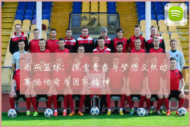 雨燕篮球：探索青春与梦想交织的赛场传奇与团队精神